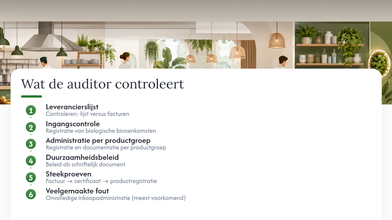 Wat controleert een auditor tijdens het toelatingsonderzoek? — overview diagram