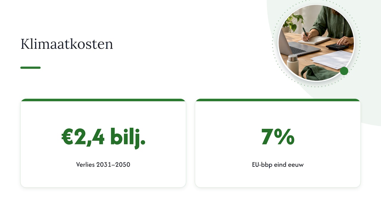 Geraamde economische klimaatverliezen in de EU