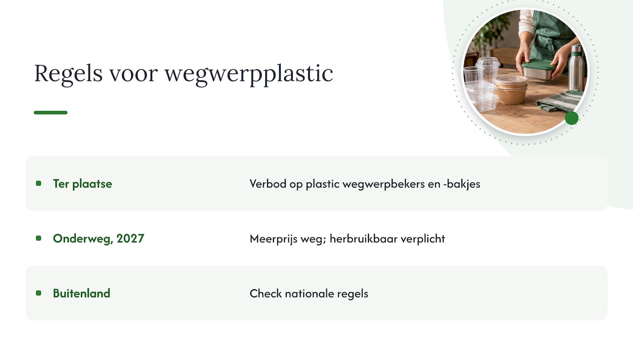 Wegwerpplastic: de regels in Nederland — overview diagram